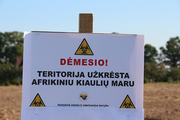 Afrikinio kiaulių maro aukų – dešimtys tūkstančių: kol nėra vakcinos, ligą sustabdyti privalome ir galime patys