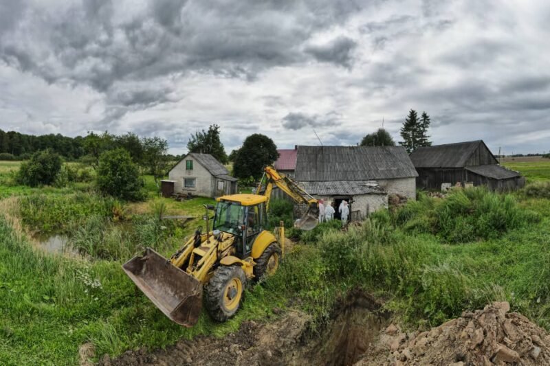 AKM plinta – užsikrėtusios kiaulės sunaikintos dar viename ūkyje (papildyta)