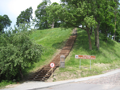 Žalgirio maratonas