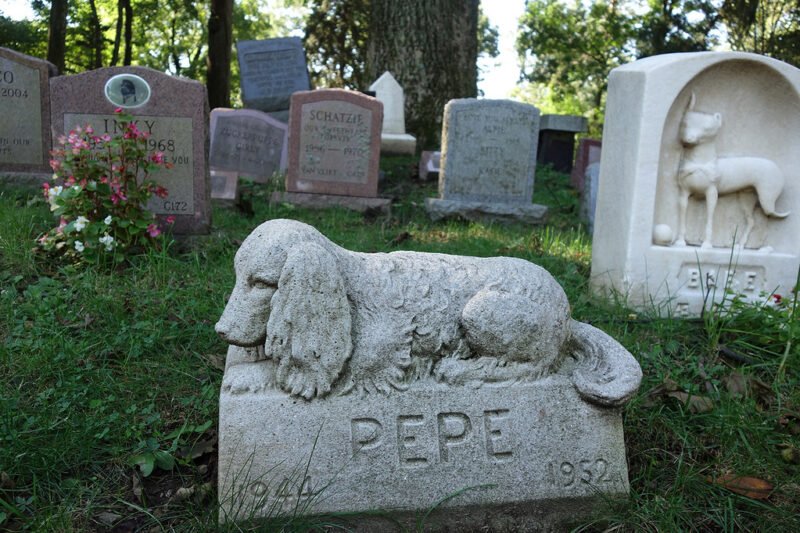 Apklausa: ar Jurbarkui reikia gyvūnų kapinių? (balsavimas)