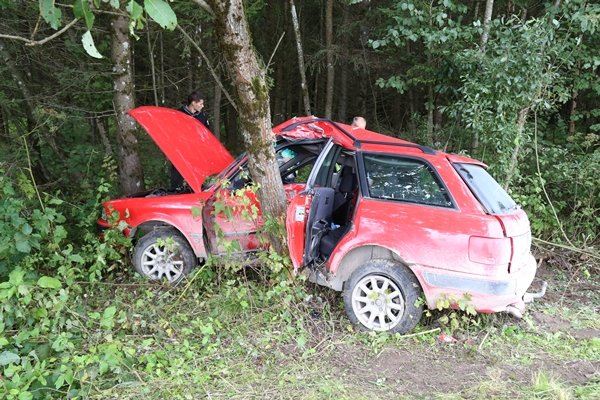„Audi“ po smūgio apsivijo medį (nuotraukos)