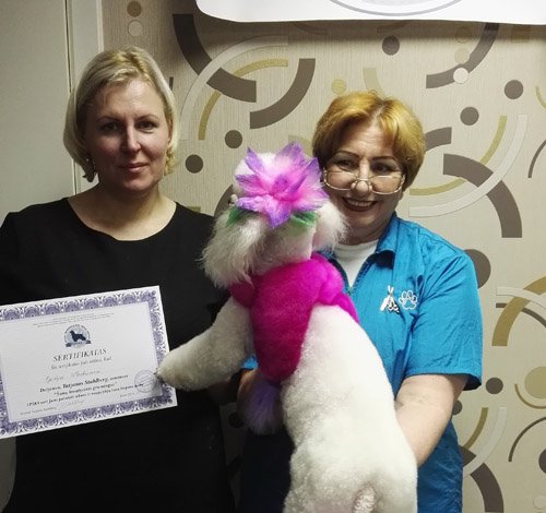 Augintiniai puošiami madingomis šukuosenomis