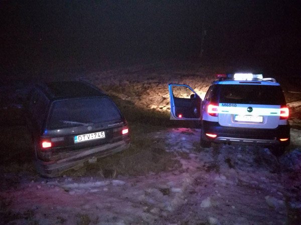 Automobilio gaudynės baigėsi griovyje