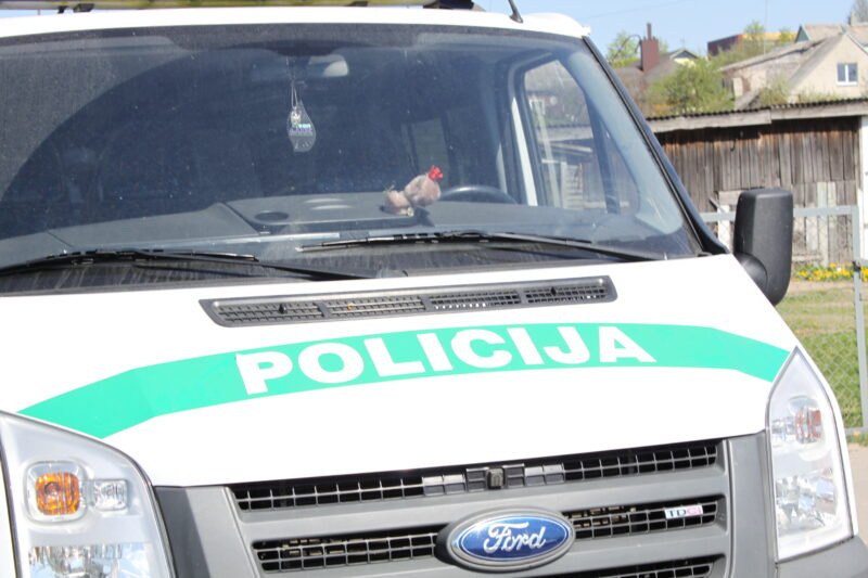 Automobilis partrenkė į gatvę išbėgusį berniuką