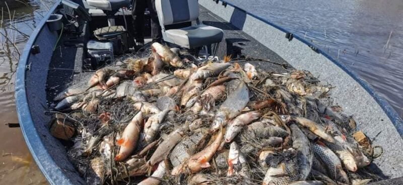 Brakonieriai neteko tinklų ir šimtų kilogramų žuvų (nuotraukos, video) (2)