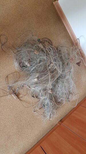 Brakonieriavimas baigėsi dar neprasidėjęs