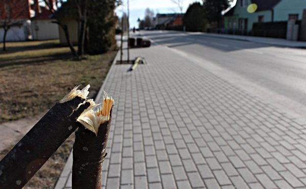 Chuliganai nusiaubė Gedimino gatvę (nuotraukos) (11)