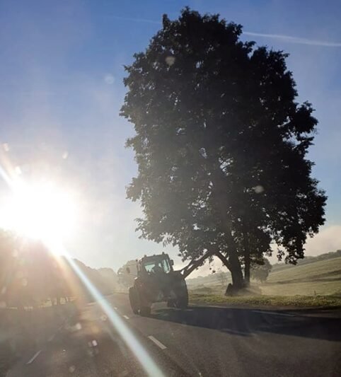 Dėl nupjautų kelkraščio stulpelių – kaltųjų paieškos