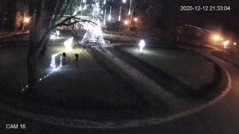 Dvaro parką apvogė merginos (nuotraukos)