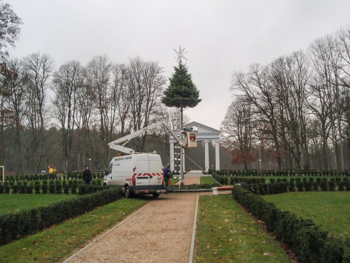 Dvaro parke pradėta statyti ir puošti eglutė
