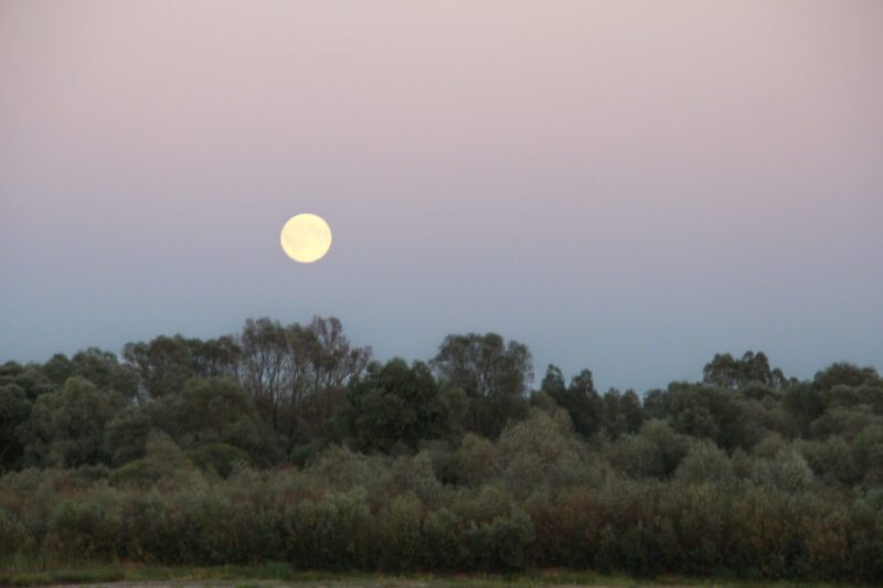 Eismo sąlygas sunkins gūsingas šoninis vėjas