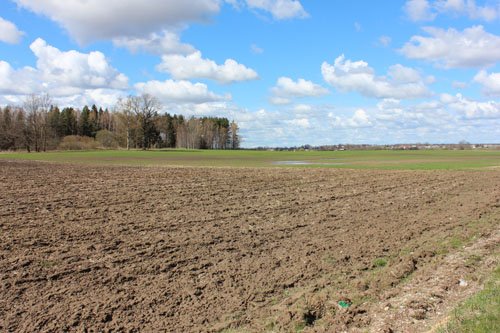 Žemės nuomą iš šešėlio traukia mokesčių inspektoriai