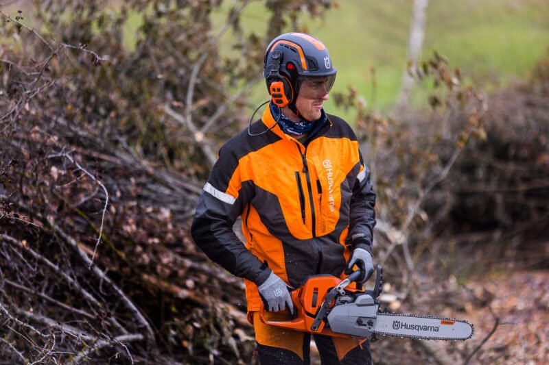 Formuojame brandžius medžius: profesionalus arboristas pataria, kaip nesuklysti