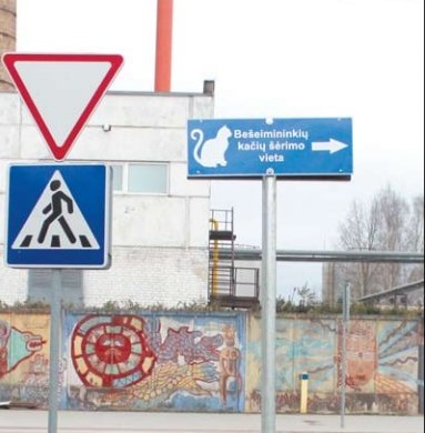 Gyvūnus šeriančios moterys ruošia ligų bombą (balsavimas) (9)