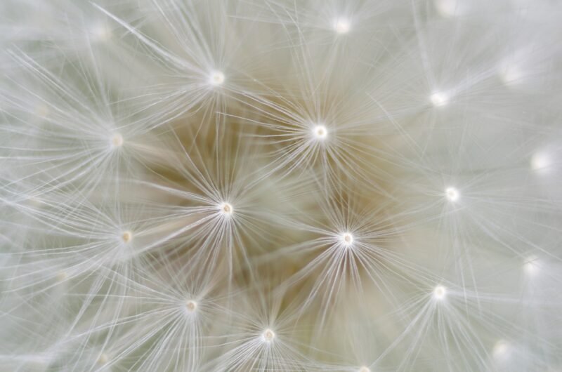 Šiandien vardadienius švenčia