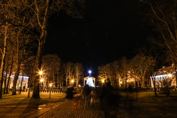 Įžiebtos kalėdinės eglės (nuotraukos, papildyta video)