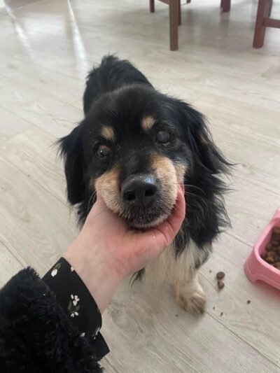 Ieško namų išmestam senoliui