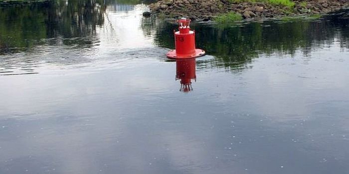 Ieško Nemune siautėjusių vandalų (3)