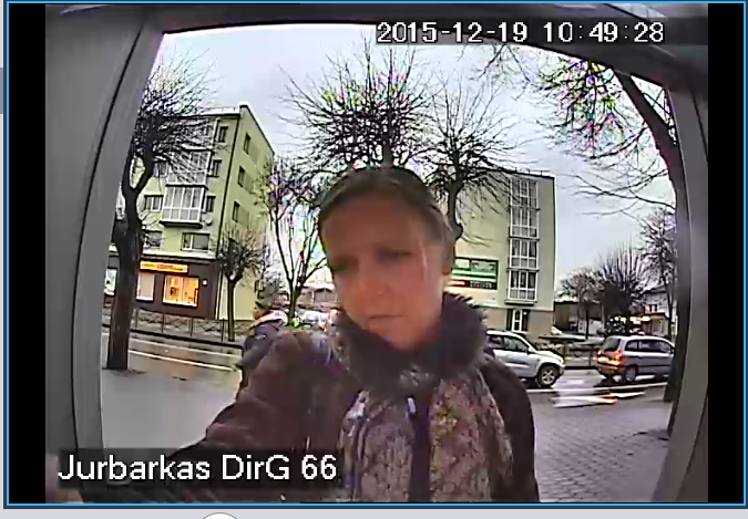 Ieško vagilės (nuotraukos) (1)