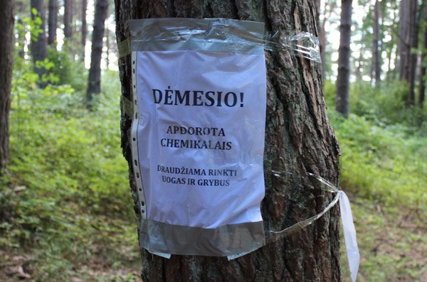 Išgąsdino užrašai miške