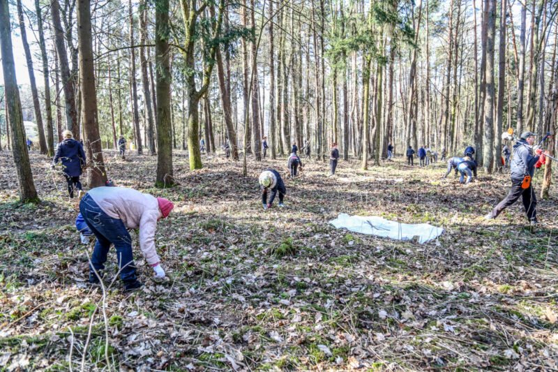 Šilelis atsivėrė lankytojams (video) (22)