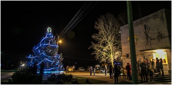 Žindaičiuose sužibo kalėdinė eglutė (nuotraukos)