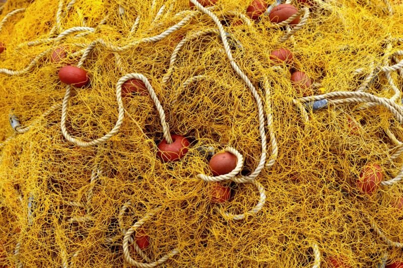 Žinomo brakonieriaus namuose – vienuolika tinklų (2)