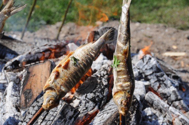 JURBARKO ŽIOBRINĖS 2017
