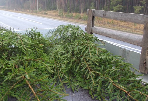 Kalėdų puošmeną įsigykime teisėtai