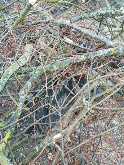 Kapinių tvarkdariai sukėlė pasipiktinimą (nuotraukos) (6)