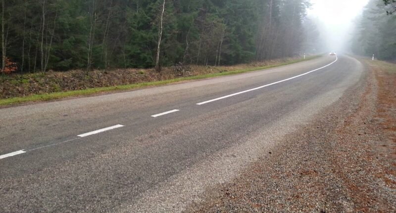 Kariai užpuolė labdarą atvežusios šeimos automobilį (papildyta video) (14)