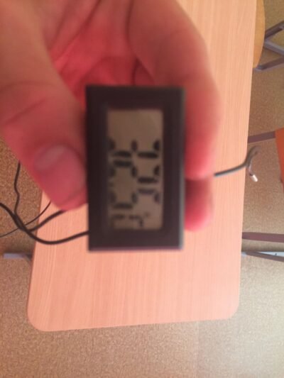 Klasėse – tropikai