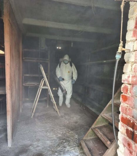 Klišiuose – paukščių gripo protrūkis, bus sunaikinta virš tūkstančio sparnuočių