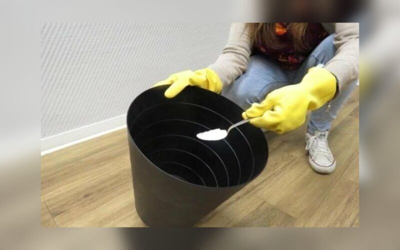 Kodėl sumanūs šeimininkai į šiukšliadėžę beria sodos?