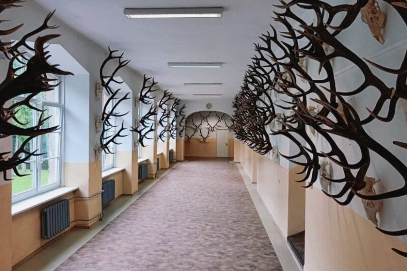 Kviečia į medžioklės trofėjų parodą: sieks ir Lietuvos rekordo