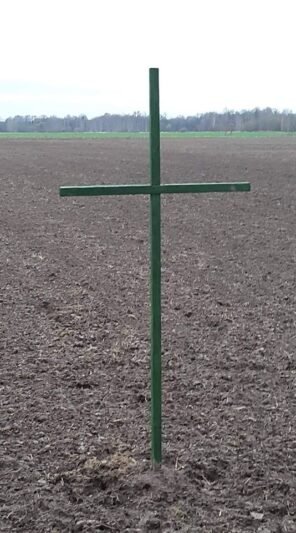 Kviečia traktoriais užtvindyti Jurbarką (10)