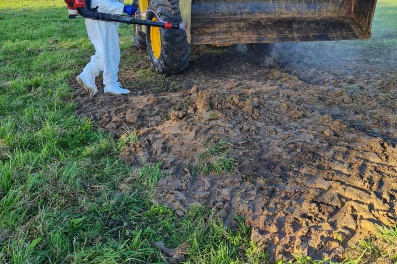 Laukia ribojimai: Skirsnemunėje – Afrikinis kiaulių maras (nuotraukos) (2)