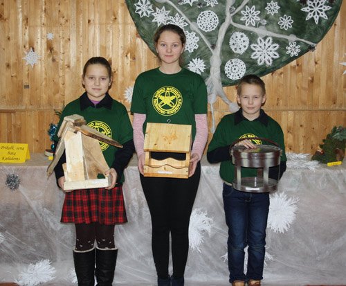 Lesyklėlė – puikus žieminis paukštelių restoranas