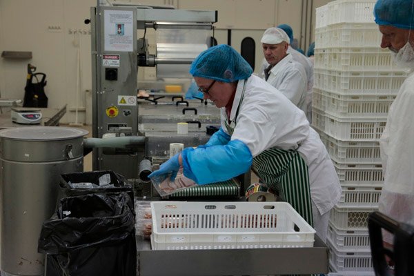 Lietuviai vis dažniau renkasi kalakutieną