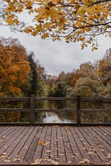 Likusią savaitę orai vis labiau rudenės