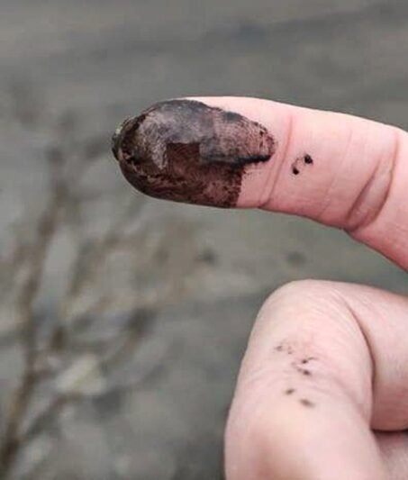 Maudytis susiruošusias jurbarkietes išgąsdino juodas vanduo (nuotraukos) (7)