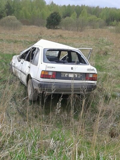 Meškininkų soduose skraidę jaunuoliai sudaužė mašiną ir pabėgo (nuotraukos)