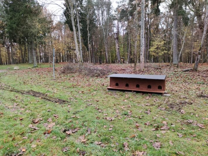 Miesto kačių namus perkelia už Mituvos (19)