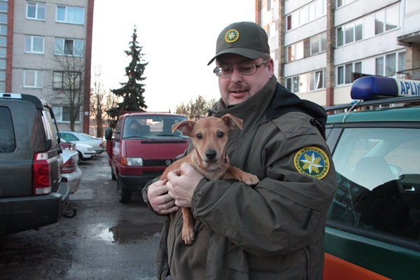 Miške rastam šuniukui ieškomi šeimininkai (nuotraukos) (4)