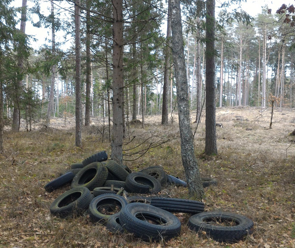 Miškuose tarpsta žmonių palikti šiukšlynai (1)