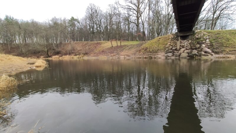 Mituva kunkuliuoja nuo žuvų (video) (3)