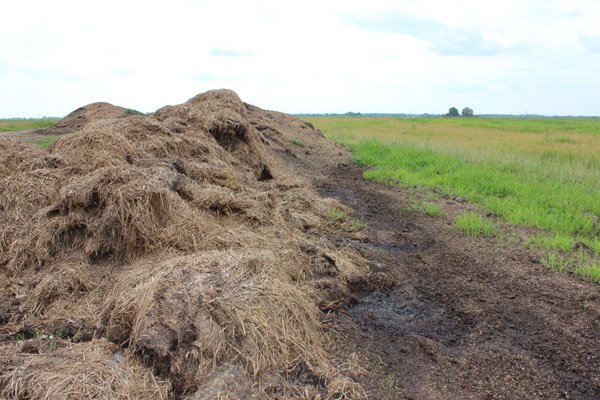 Mėšlo tvarkymas: ką reikia žinoti, kad aplinka liktų saugi?