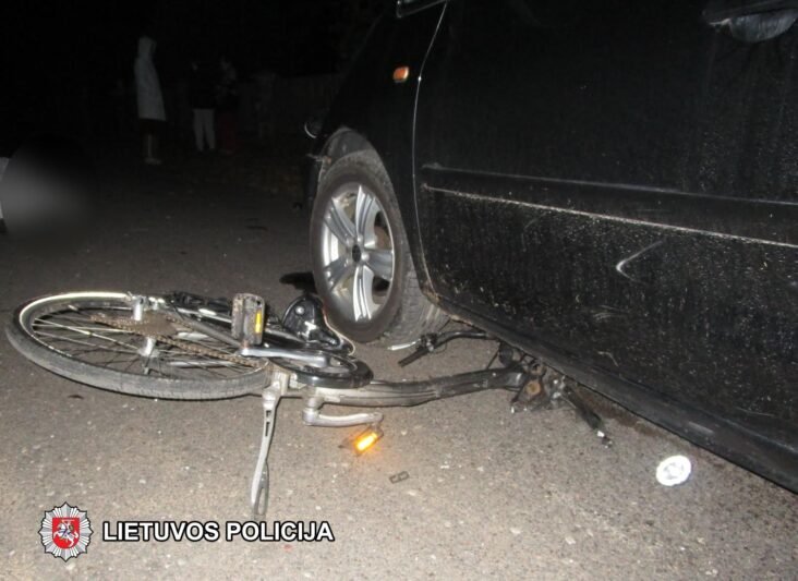 Žmogų pražudžiusį vairuotoją sulaikė miške (1)