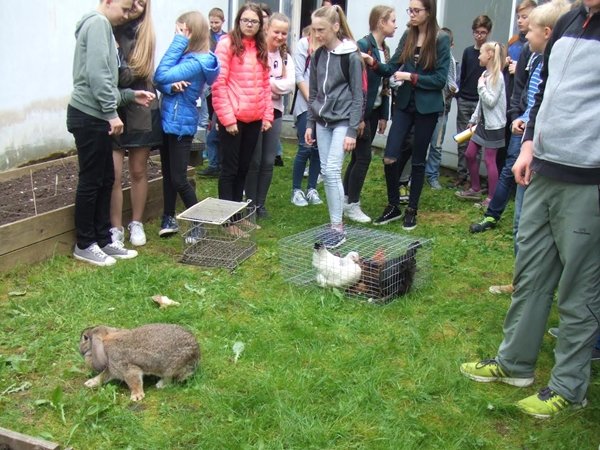 Mokykloje – gyvūnų terapija (nuotraukos)