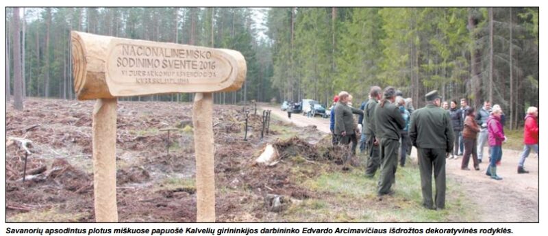 Nacionalinio miškasodžio dieną medžius sodino savanoriai